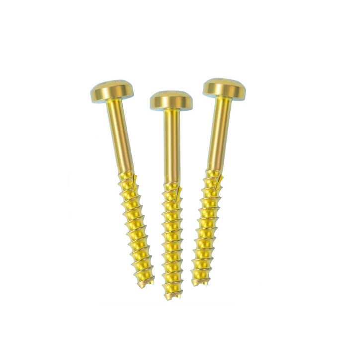 LCS Cannulated Screw